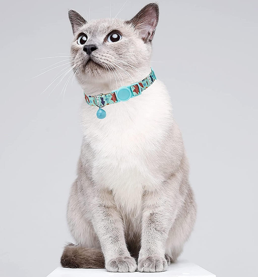 Cute Cat Collars- Mysterious Forest & Rainforest - Image 3
