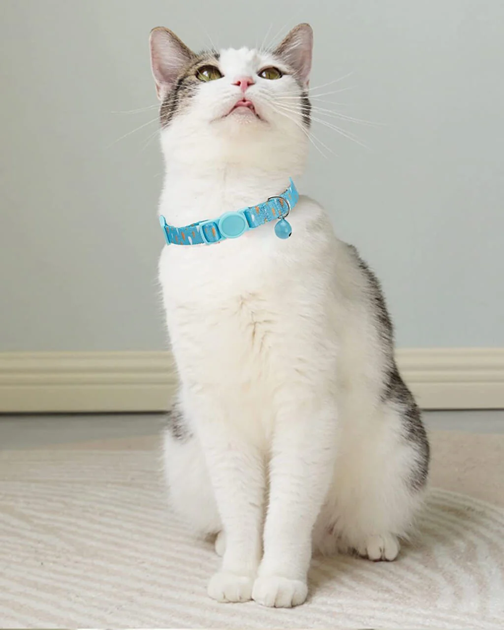 Cute Cat Collars- Mysterious Forest & Rainforest - Image 4